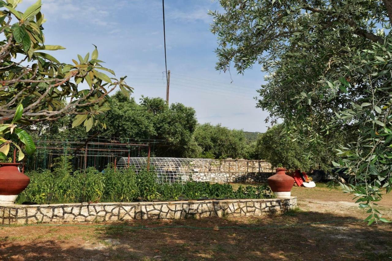 Penelope'S House Villa Skala Kallirachis Exterior photo